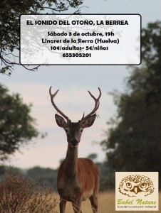 El sonido del otoño, la berrea