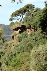 peña de Arias Montano