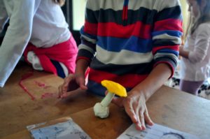 Taller de micología para niños