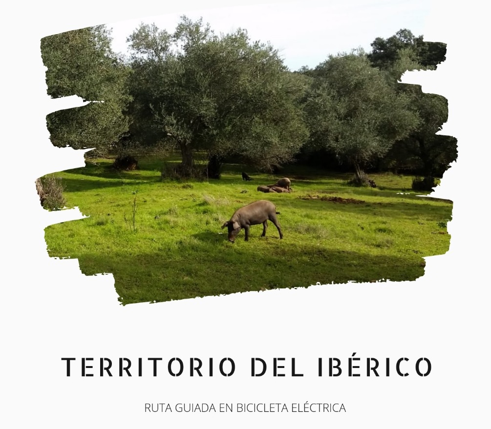 Territorio del Ibérico