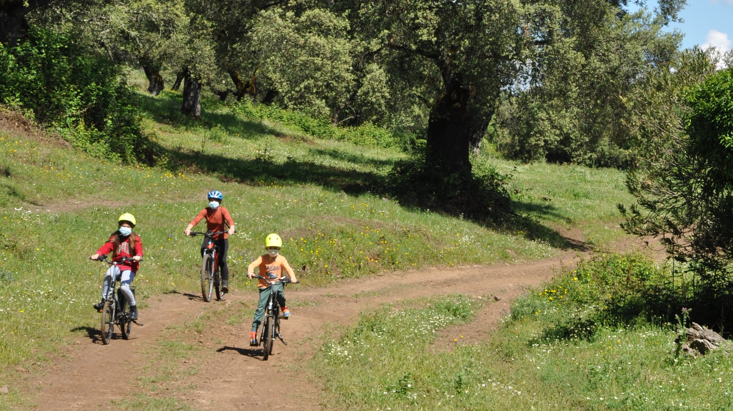 rutas guiadas en ebike por la dehesa